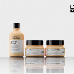 Absolut Repair